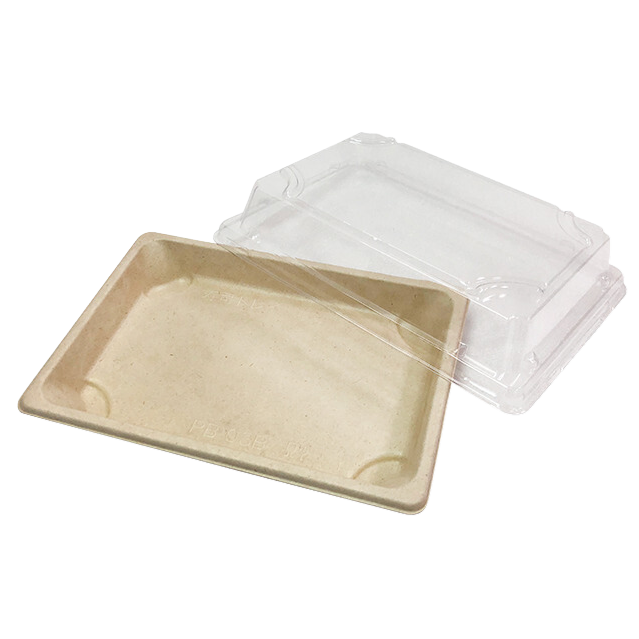 Disposable Tray for Case