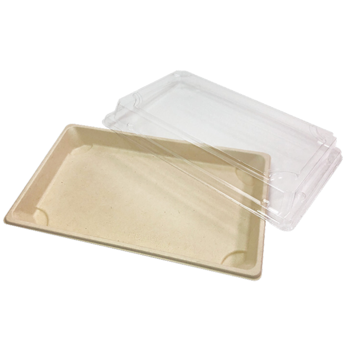 Disposable Tray oem