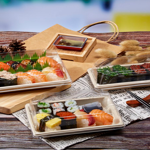 Disposable Tray odm