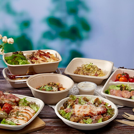 Fiber Food Container for OEM