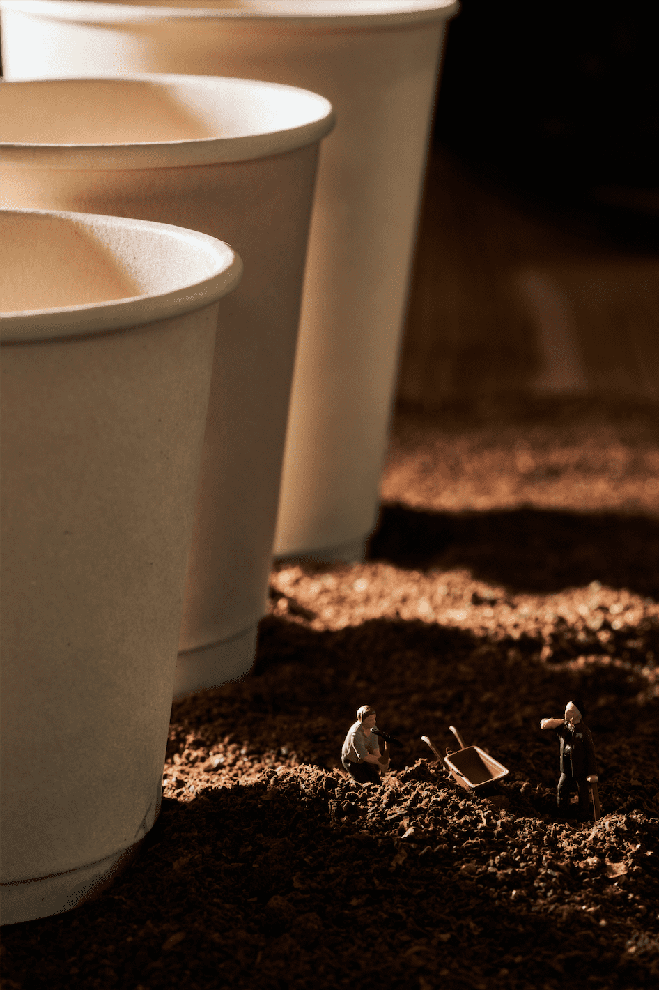 ECO Friendly Paper Cup