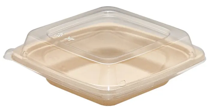 紙漿餐盒 CP16 加透明上蓋斜角度商品照